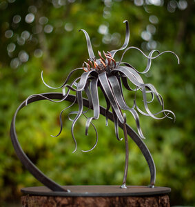 Blown Open by 
Brenda Isaak Takao