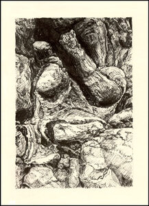Struggle by 
Arlene Nesbitt