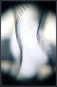 Jacob's Ladder II by 
Arlene Nesbitt