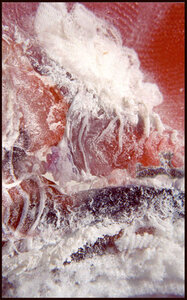 Wave by 
Arlene Nesbitt