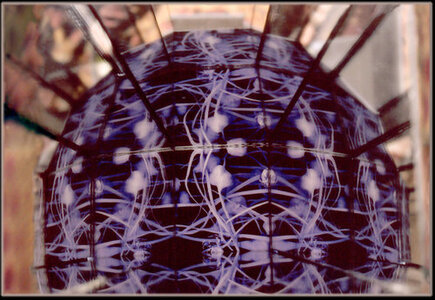 Rectified Works by 
Arlene Nesbitt