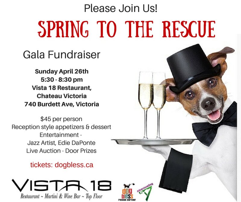 Edie DaPonte, Joey Smith, Karel Roessingh @ Vista 18 in the Chateau Victoria - Apr 26, 2015