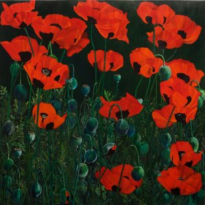 Flanders Poppies by 
"Kmit"