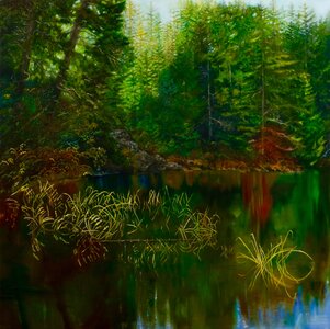 Untitled from the Series Matheson Lake by 
"Kmit"