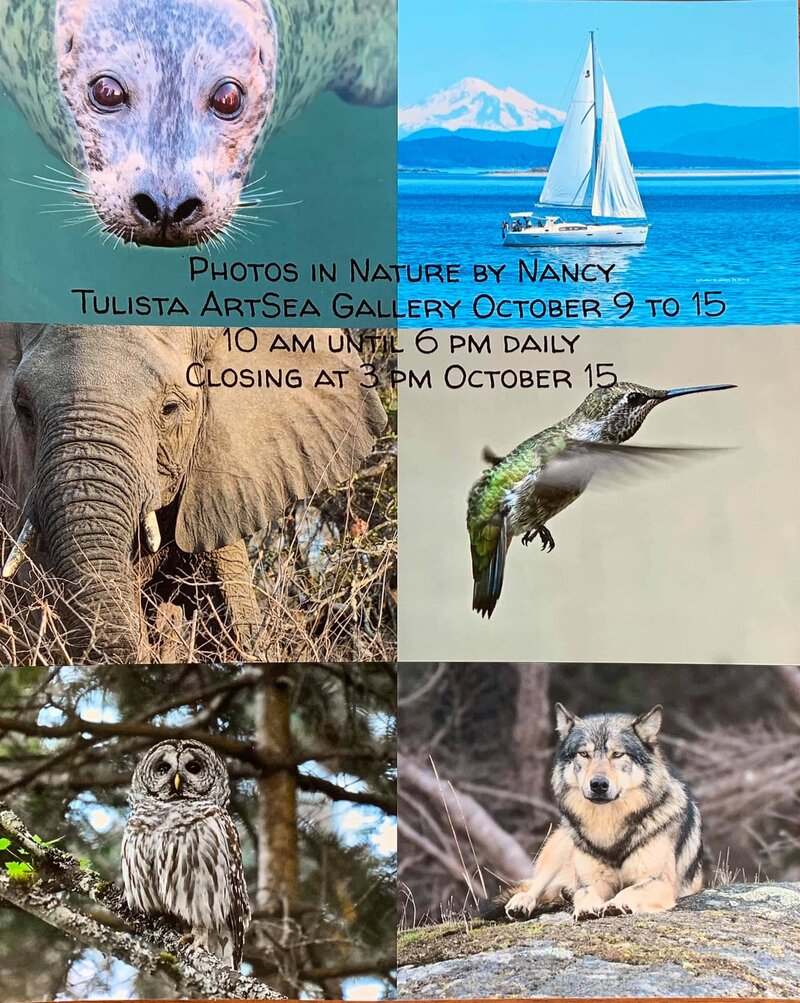 Photos in Nature by Nancy: Nancy Brown-Schembri @ ArtSea Gallery Oct 9 2020 - Jun 20th @ ArtSea Gallery