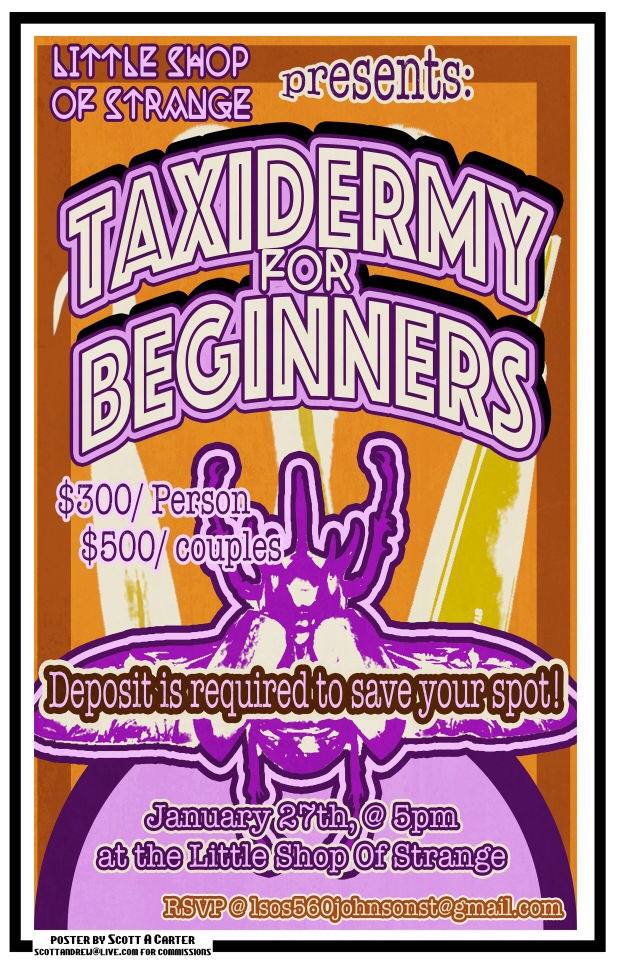 Taxidermy For Beginners @ 103-560 Johnson St - Jan 27, 2017