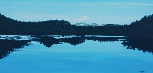 Lakes of Powell Forest by 
Alexa Gibbs