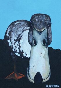 Ducapus by 
Alexa Gibbs