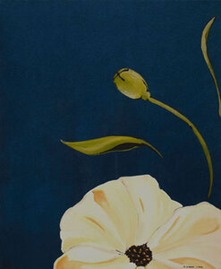 Cream Poppy by 
Alexa Gibbs