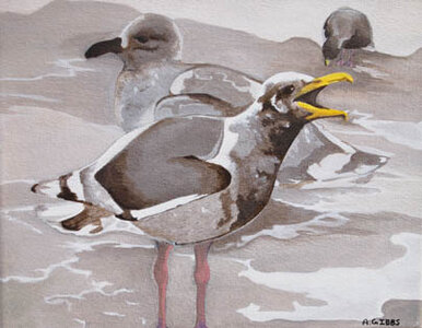 Winter Gull by 
Alexa Gibbs