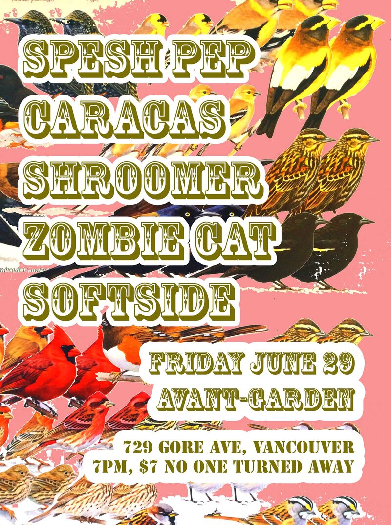 5 Bands 7 Bucks 0 Regrets: Spesh Pep, Caracas, Shroomer, Zombie Cat, Softside @ Avant Garden - Jun 29, 2018