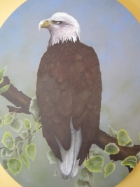 Eagle by 
Sharon March