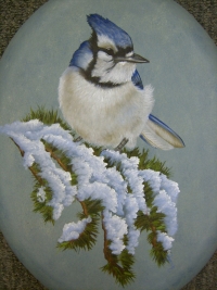 Blue Jay by 
Sharon March