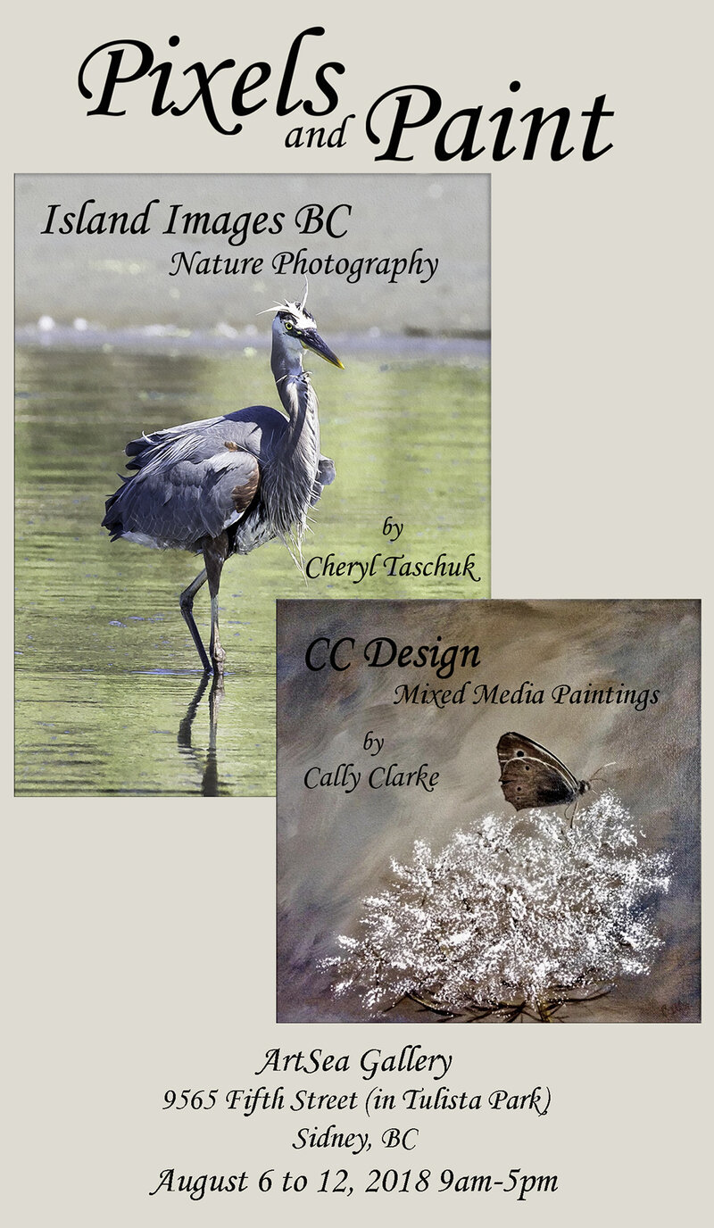 Pixels and Paint: Cheryl Taschuk  (photographic art), Cally Clark  (paintings), Morgan Poole  (custom jewelry) @ Community Arts Council of the Saanich Peninsula Aug 6 2018 - May 10th @ Community Arts Council of the Saanich Peninsula