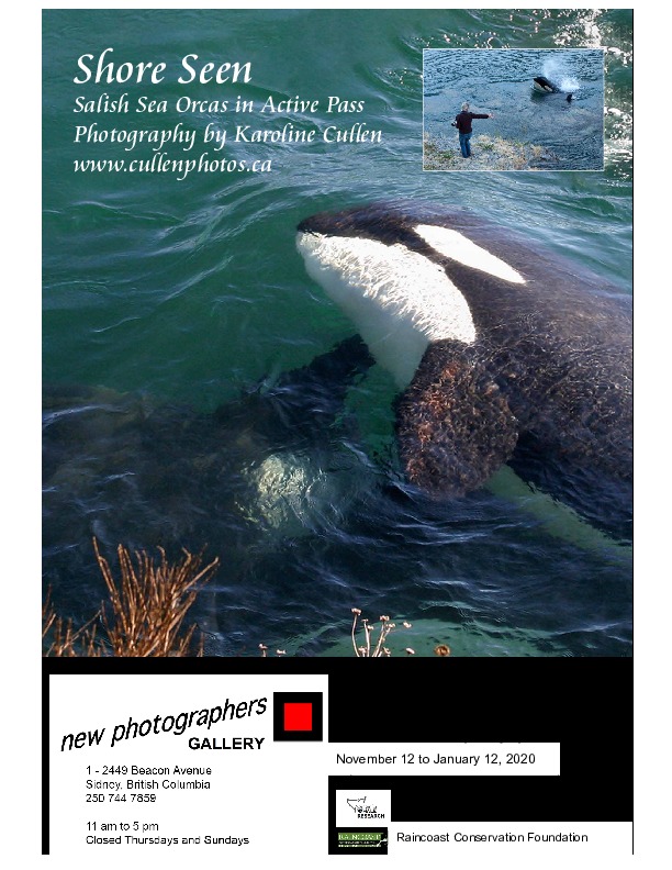 West Coast Artists: Karoline Cullen, Helen B. Watt , Peter L. Ramos @ new photographers GALLERY Nov 12 2019 - Jun 1st @ new photographers GALLERY