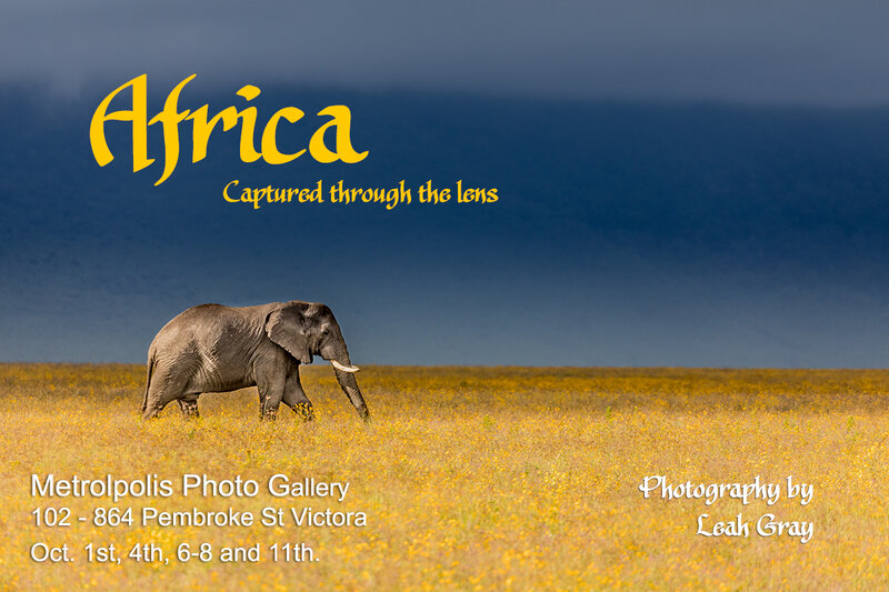 Africa Captured Through the Lens @ Metropolis Photo Gallery Oct 1 2017 - May 6th @ Metropolis Photo Gallery