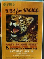 Wild for Wildlife: Featuring The Party on High Sreet and Moose: The Party on High Street, Moose For Now @ Felicita's Pub Jan 12 2013 - May 6th @ Felicita's Pub