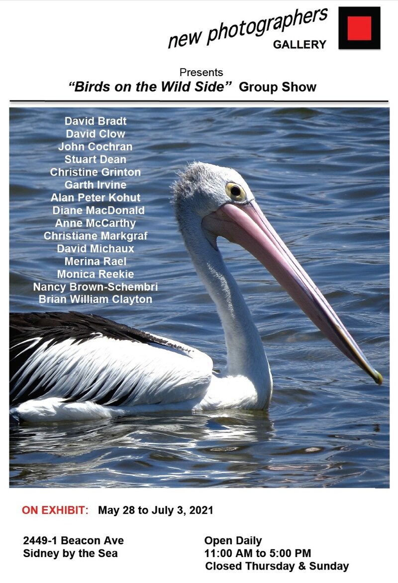 Birds on the Wild Side @ new photographers GALLERY - Jun 04, 2021