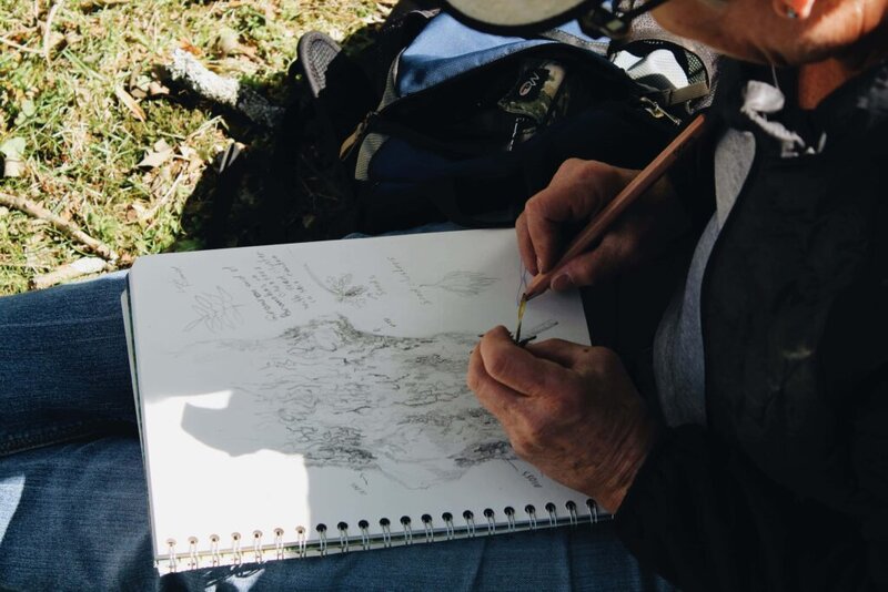 Online Nature Sketch Workshops - May 7th @ Online