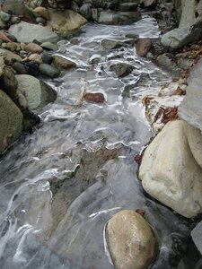 Winter Creek by 
Loretta Puckrin