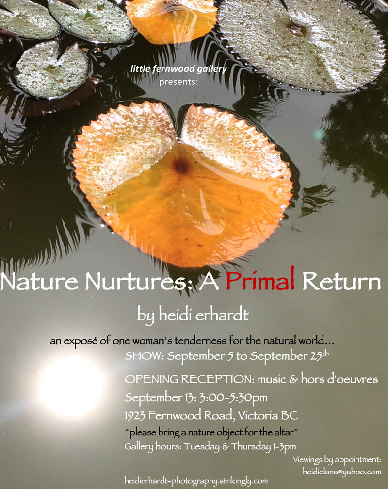 Nature Nurtures: A Primal Return Art Exhibition: heidi erhardt, artist/photographer, Nowick Gray, musician, Han Soulo Chow, musician @ Little Fernwood Gallery Sep 13 2017 - Apr 30th @ Little Fernwood Gallery
