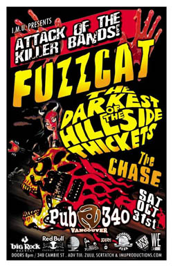 ATTACK OF THE KILLER BANDS!: Fuzzcat, The Darkest Of The Hillside Thickets, The Chase @ Pub 340 Oct 31 2009 - May 6th @ Pub 340