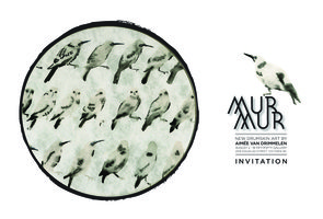 MURMUR by Aimee Van Drimmelen @ the fifty fifty arts collective Aug 3 2012 - Jun 4th @ the fifty fifty arts collective
