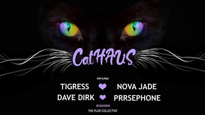 CatHaus: TigRess, Novajade, Dave Dirk, Prrsephone @ Copper Owl Jul 7 2018 - Jun 8th @ Copper Owl