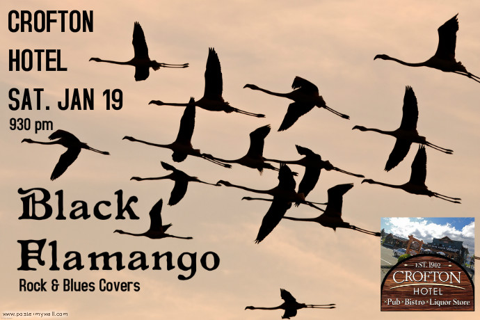 CROFTON HOTEL: BLACK FLAMANGO @ Osborne Bay Pub  Jan 19 2013 - May 8th @ Osborne Bay Pub 