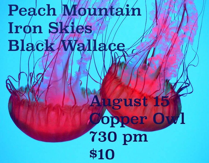 Peach Mountain, Iron Skies, Black Wallace @ Copper Owl Aug 15 2017 - Jun 16th @ Copper Owl