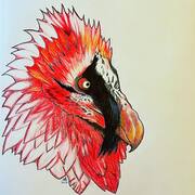 Inktober/Raptortober2021
