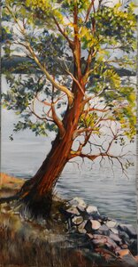 Untitled by 
Bev Robertson - AFCA