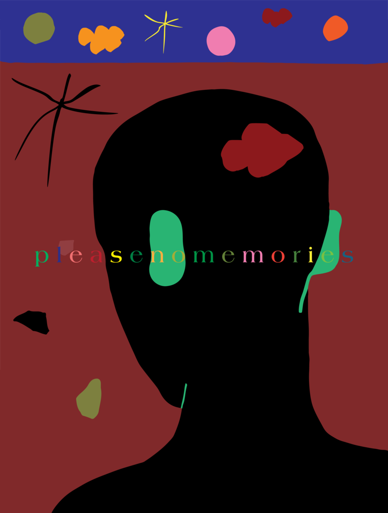 please no memories: Kai Choufour @ Victoria Arts Council Jul 11 2020 - Jun 11th @ Victoria Arts Council
