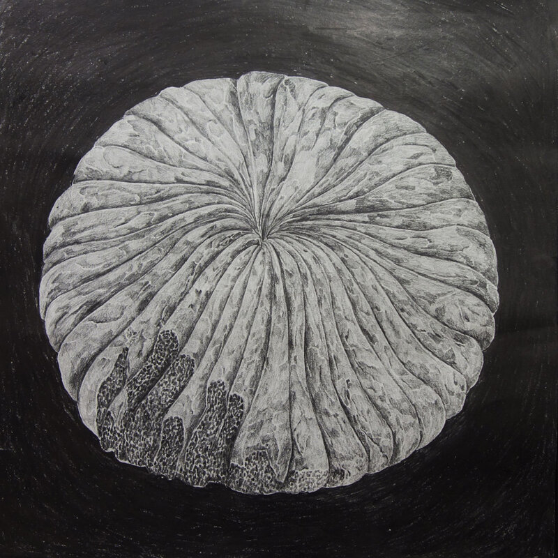 Internal Mapping, Drawing workshop: Sylvie Ringer @ the fifty fifty arts collective Aug 7 2021 - Jun 23rd @ the fifty fifty arts collective