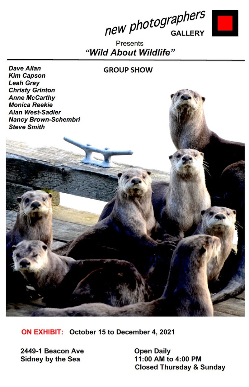 Wild About Wildlife - Jun 5th @ new photographers GALLERY