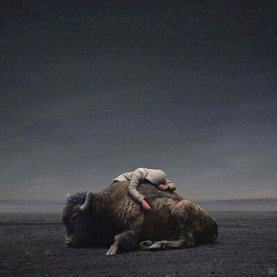 West of Memphis, David Alexander Band @ The Roxy Aug 6 2016 - May 12th @ The Roxy