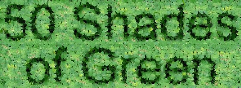 50 Shades of Green: Terri Heal, Aura Arindam, Heather Barr, Gianni Comuzzi, Liz Dailey, Robin Drader, Katarina Hardisty, Melodie Hutmacher, John Janzen, Alan Klughammer, Elaine Lauzon @ The Dock Mar 18 2015 - May 14th @ The Dock