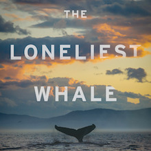 The Loneliest Whale @ Feast Food & Film Aug 2 2021 - Jun 3rd @ Feast Food & Film