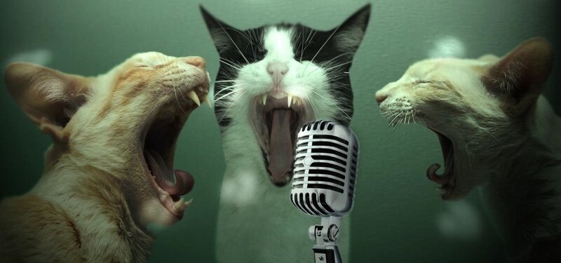 Eventide Afterparty : Copper Owl does Karaoke tooo!: Avid Karaokeists @ Copper Owl Aug 4 2016 - Jun 7th @ Copper Owl