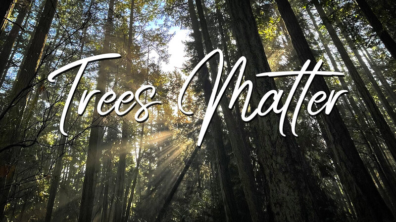 Trees Matter Premiere &ndash; A Creative Collaboration @ Online Sep 22 2021 - Jun 6th @ Online