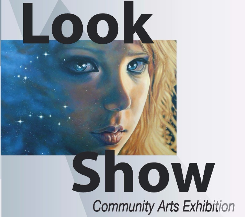 The LOOK Show 2017 @ CACGV Gallery in The Bay Centre Mar 25 2017 - May 1st @ CACGV Gallery in The Bay Centre