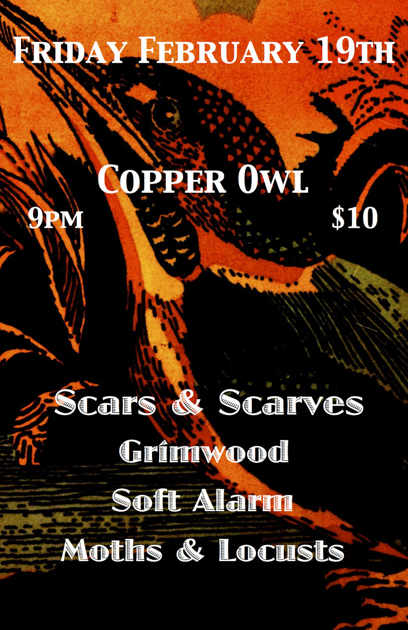 Cosmic Leap Year Get Down w/: Scars and Scarves, Grimwood, Soft Alarm, Moths and Locusts @ Copper Owl Feb 19 2016 - May 6th @ Copper Owl