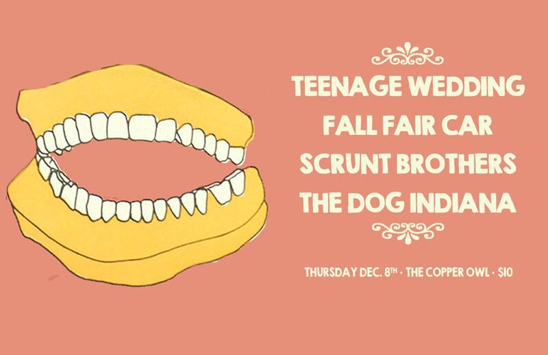 Teenage Wedding, Fall Fair Car, Scrunt Brothers, The Dog Indiana  @ Copper Owl Dec 8 2016 - May 1st @ Copper Owl
