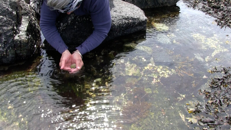 Etudes: Performance, Sound, Nature: Grace Salez @ Flux Media Gallery Jul 23 2019 - Jul 14th @ Flux Media Gallery