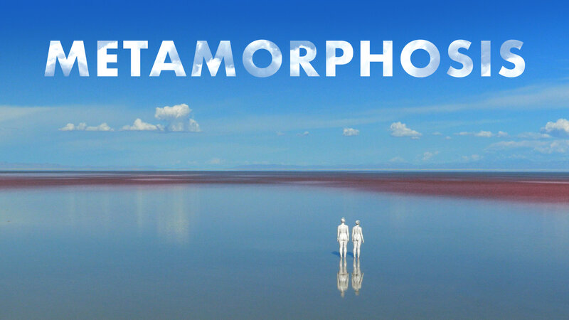 Metamorphosis @ 821 Fort St May 1 2019 - Jun 20th @ 821 Fort St