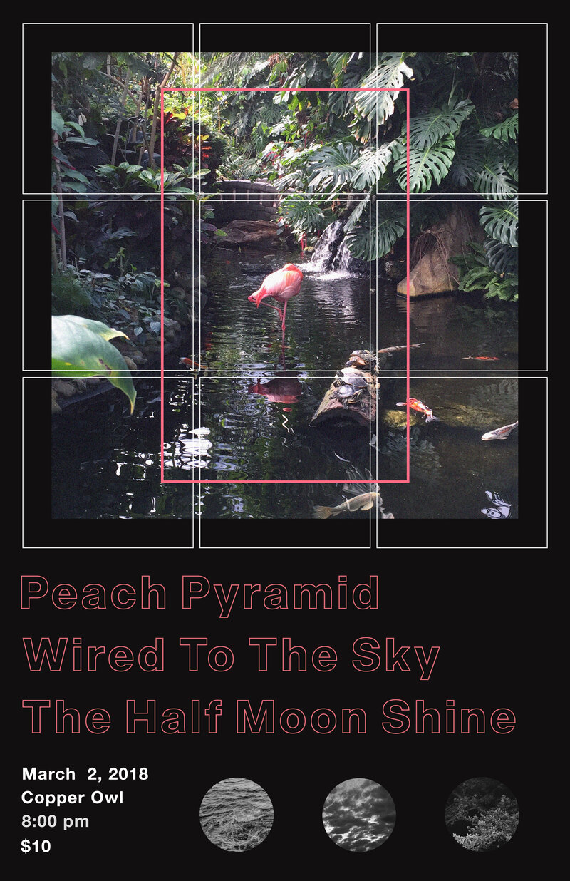 .: Peach Pyramid, Wired to the Sky, The Half Moon Shine @ Copper Owl Mar 2 2018 - May 6th @ Copper Owl