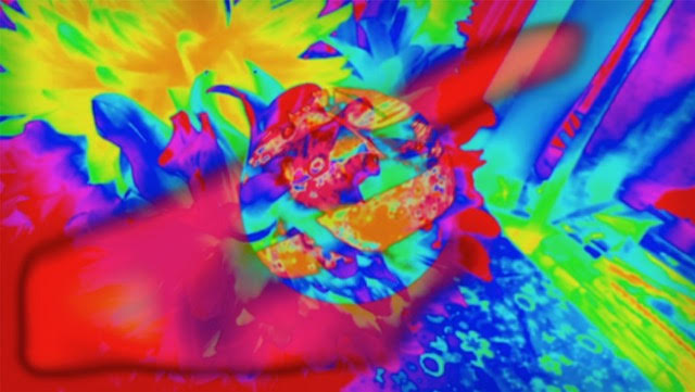 Florabundus: Trace Nelson @ Errant ArtSpace Nov 9 2018 - Jun 14th @ Errant ArtSpace