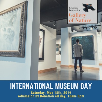 International Museum Day at the Gallery of Nature @ Bateman Gallery May 18 2019 - Jun 25th @ Bateman Gallery