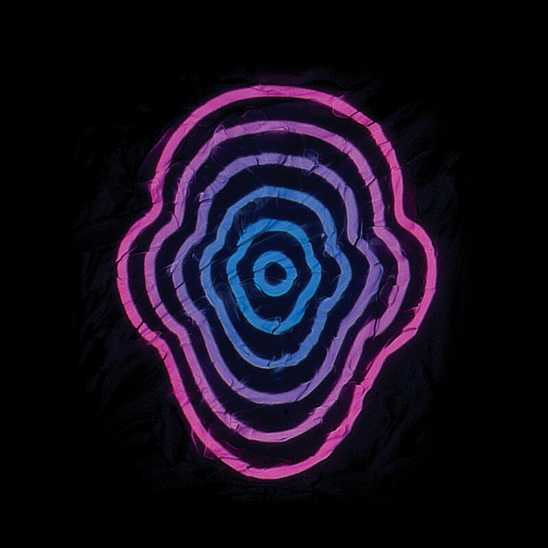 Psych Double-Header: The Sky Lit Up (Victoria, BC), Wooler  (Victoria, BC) @ Vinyl Envy Jan 17 2020 - May 7th @ Vinyl Envy