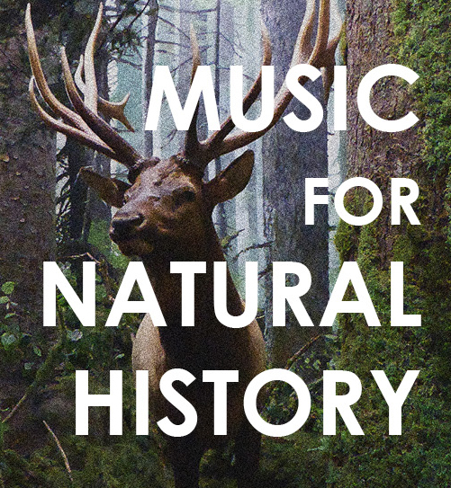 Music for Natural History: Tina Pearson, George Tzanetakis, Paul Walde, Joanna Hood, Ajtony Csaba, Nathan Friedman, John G Boehme, Julio Lopezhiler, Rachael Wadham, Chris Tooley, Tancha Dirickson, AJ Carson, Geraldine Bulosan, Claire le Nobel, Janet Sit, Alisa Gordaneer @ Royal British Columbia Museum Jan 15 2016 - May 16th @ Royal British Columbia Museum